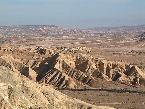 The Wilderness of Sinai