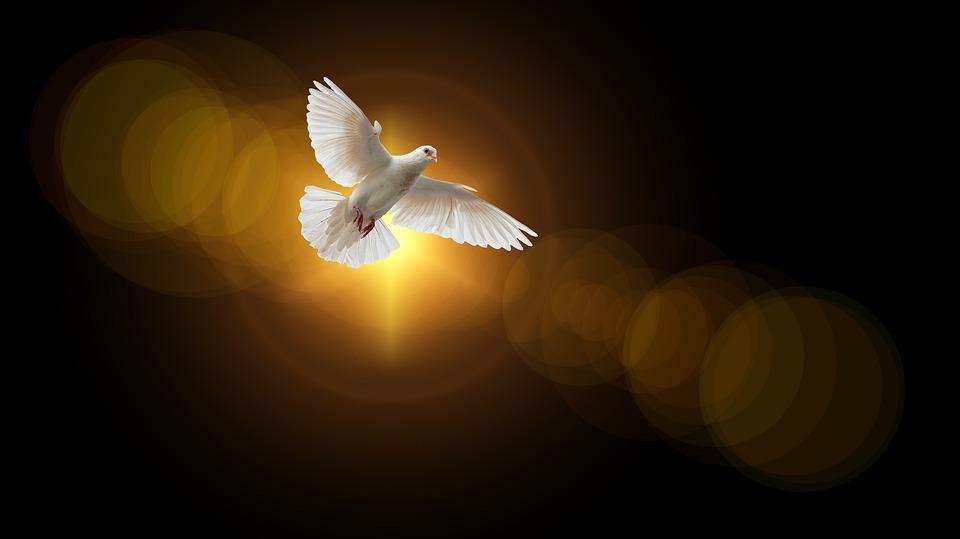 Holy Spirit Dove